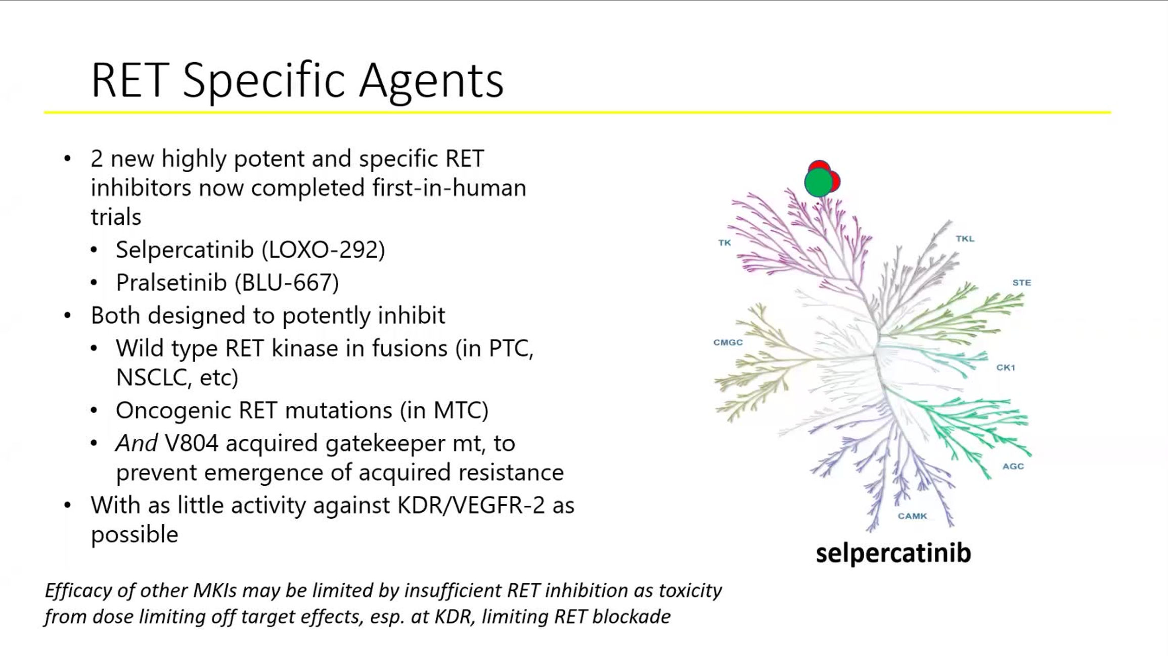 Molecular Testing in Thyroid Cancer: Why It Matters